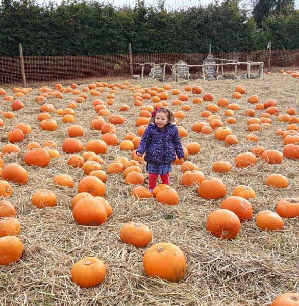 Curraghchase Garden Centre | Family Events in Limerick | Curraghchase Pumpkin Patch